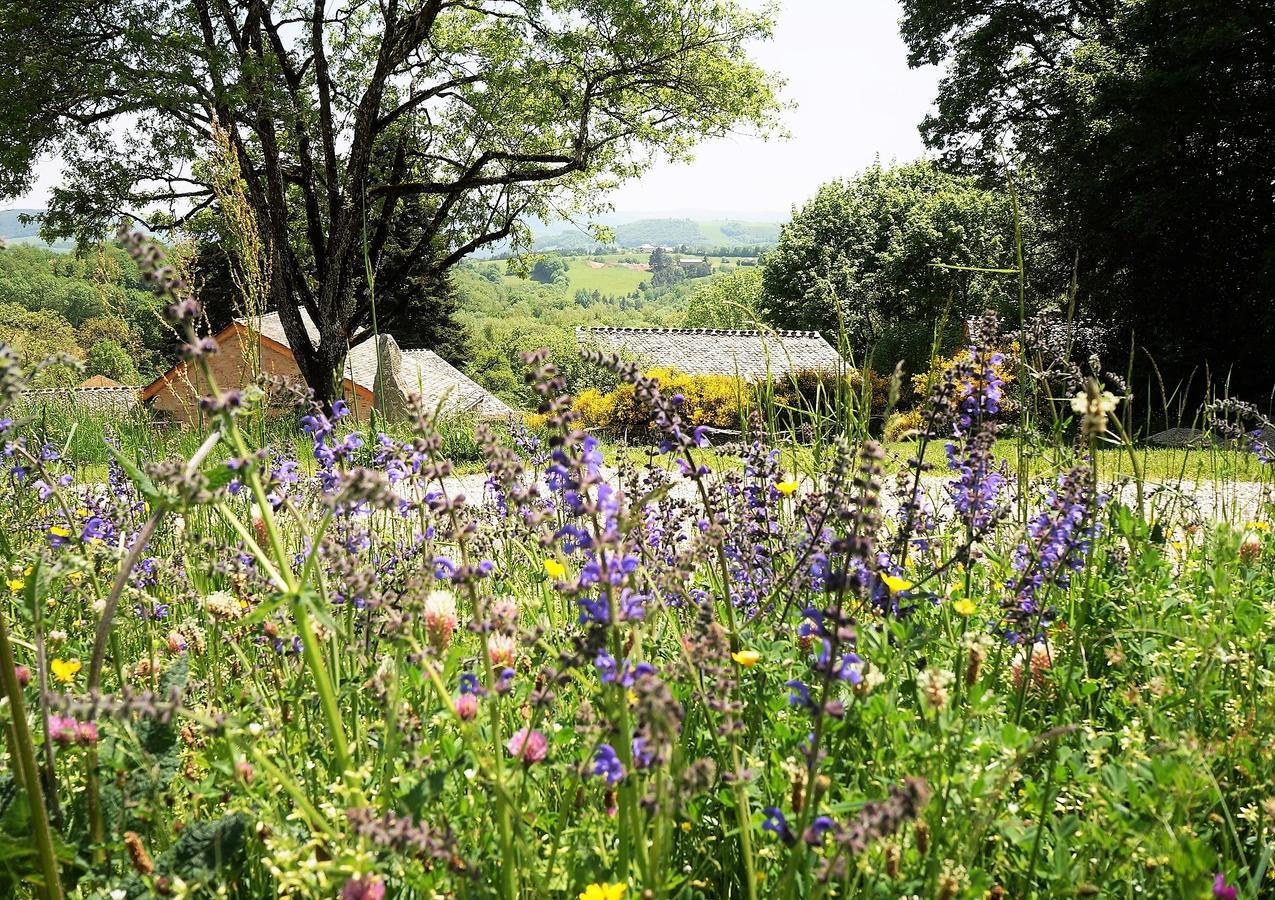 Domaine Des Marequiers Chambre Pimprenelle Saint-Germain-du-Teil Luaran gambar