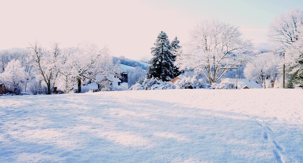 Domaine Des Marequiers Chambre Pimprenelle Saint-Germain-du-Teil Luaran gambar